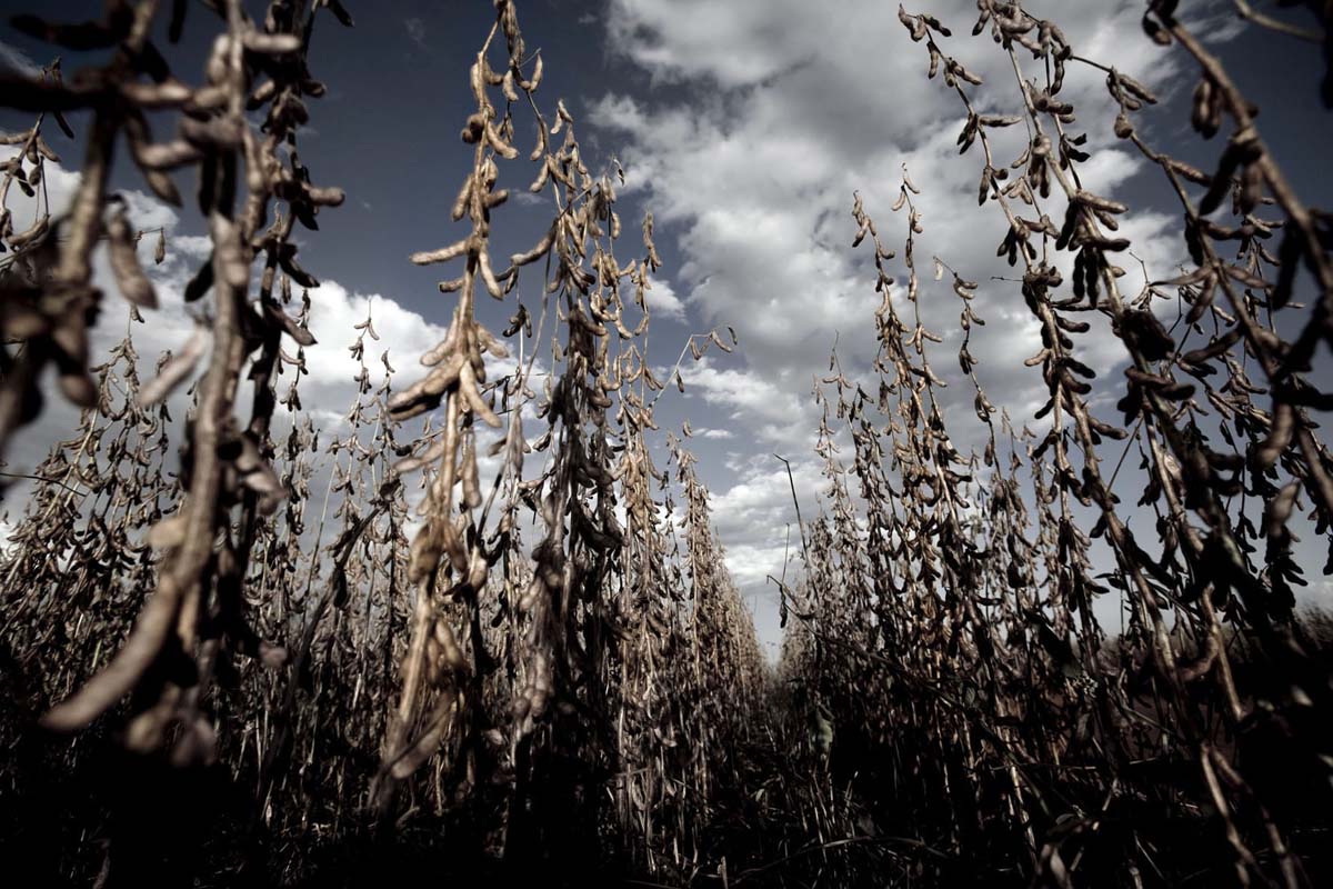 Paraguay. 17 veces volver: 