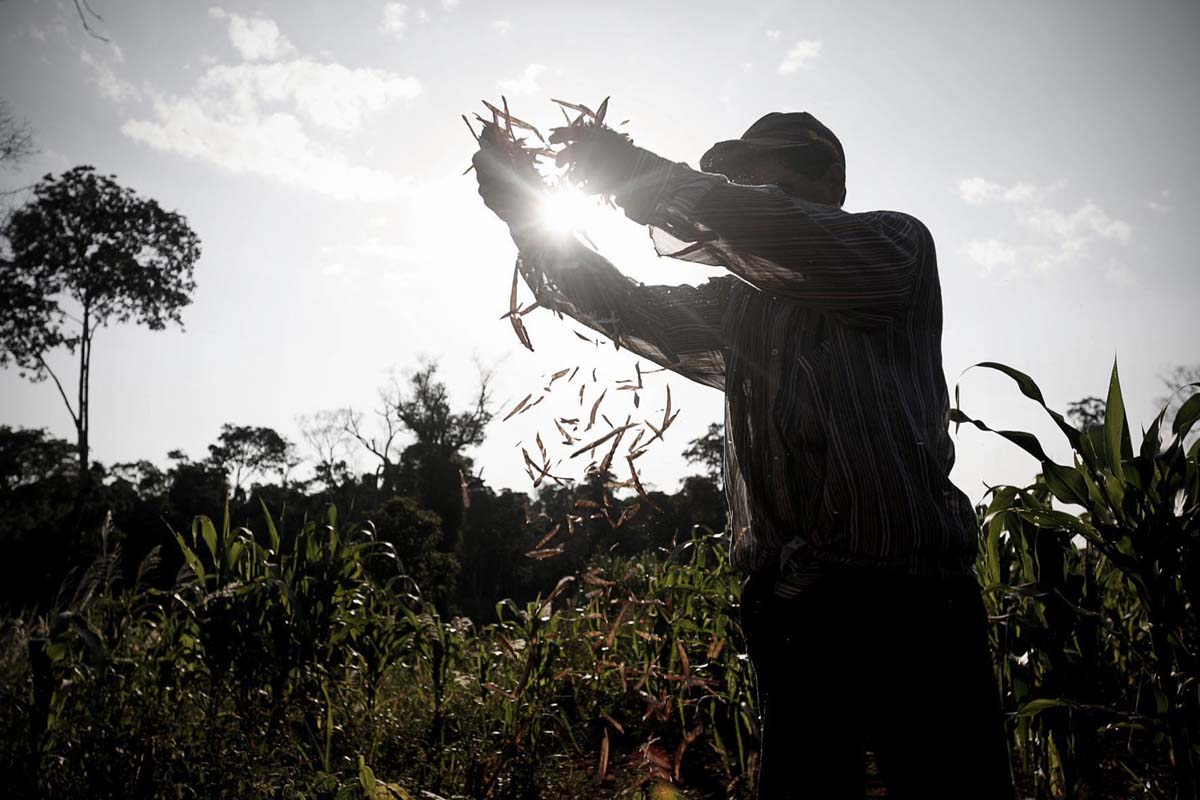 Paraguay. 17 veces volver: 