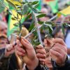 Afrin-Demonstration:    