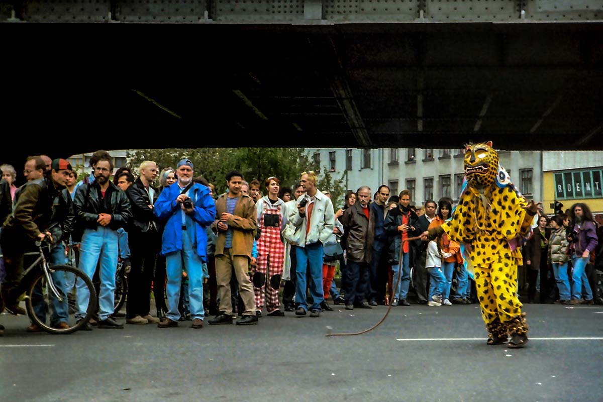 My beautiful picture: