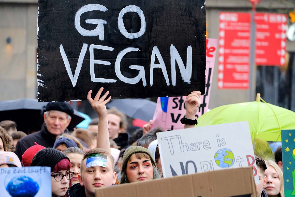 Fridays for Future: Array