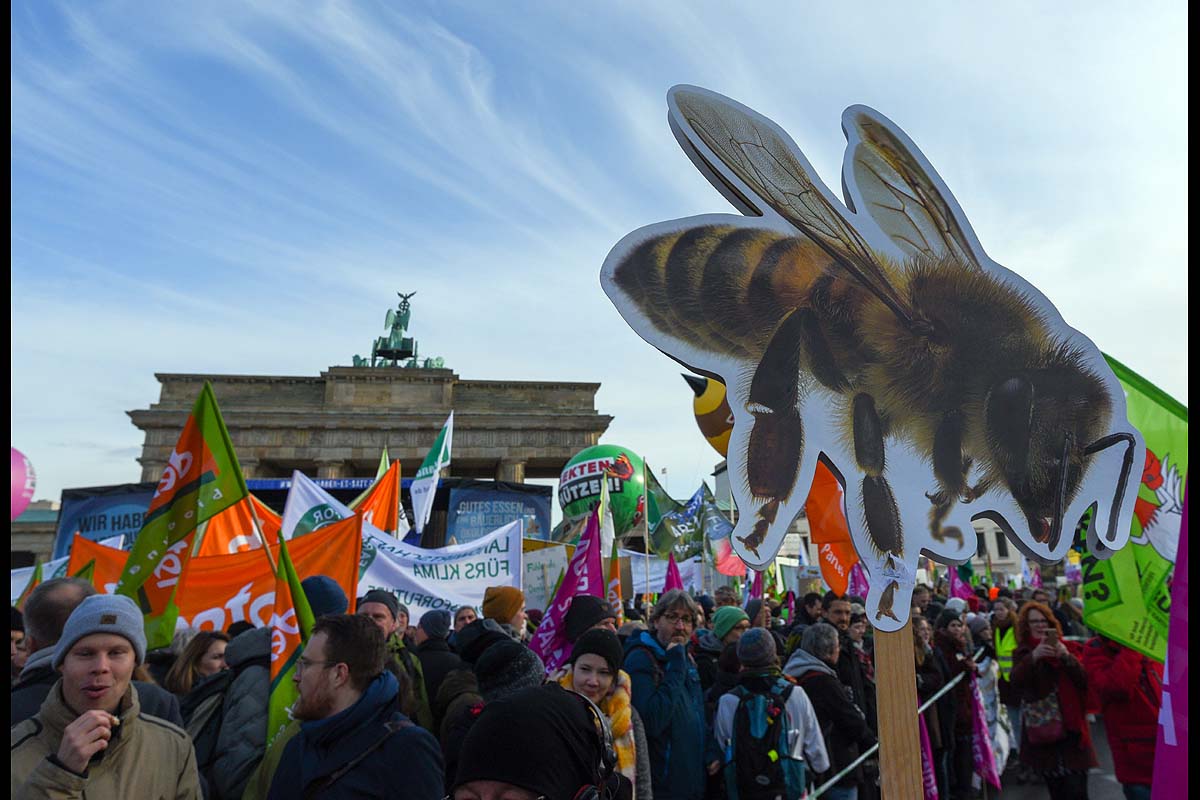 10.Wir haben es Satt  Demo in Berlin: 