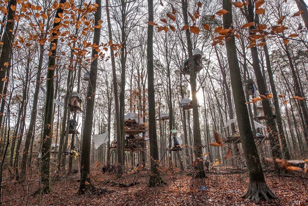 UmweltaktivistInnen protestieren im Dannenroeder Forst gegen den Ausbau der A49 fuer den ein Teil des Waldes gerodet werden muss: Array