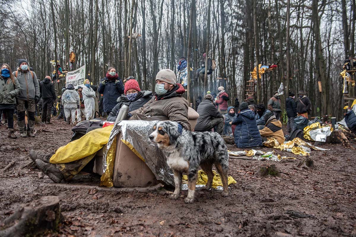 Im Dannenroeder Forst wird das letzte Baumhausdorf Oben gegen die Raeumung  und die wenigen dutzend Meter Wald, die noch fuer den Ausbau der A49 gerodet werden sollen, von UmweltaktivistInnen verteidigt.: Array