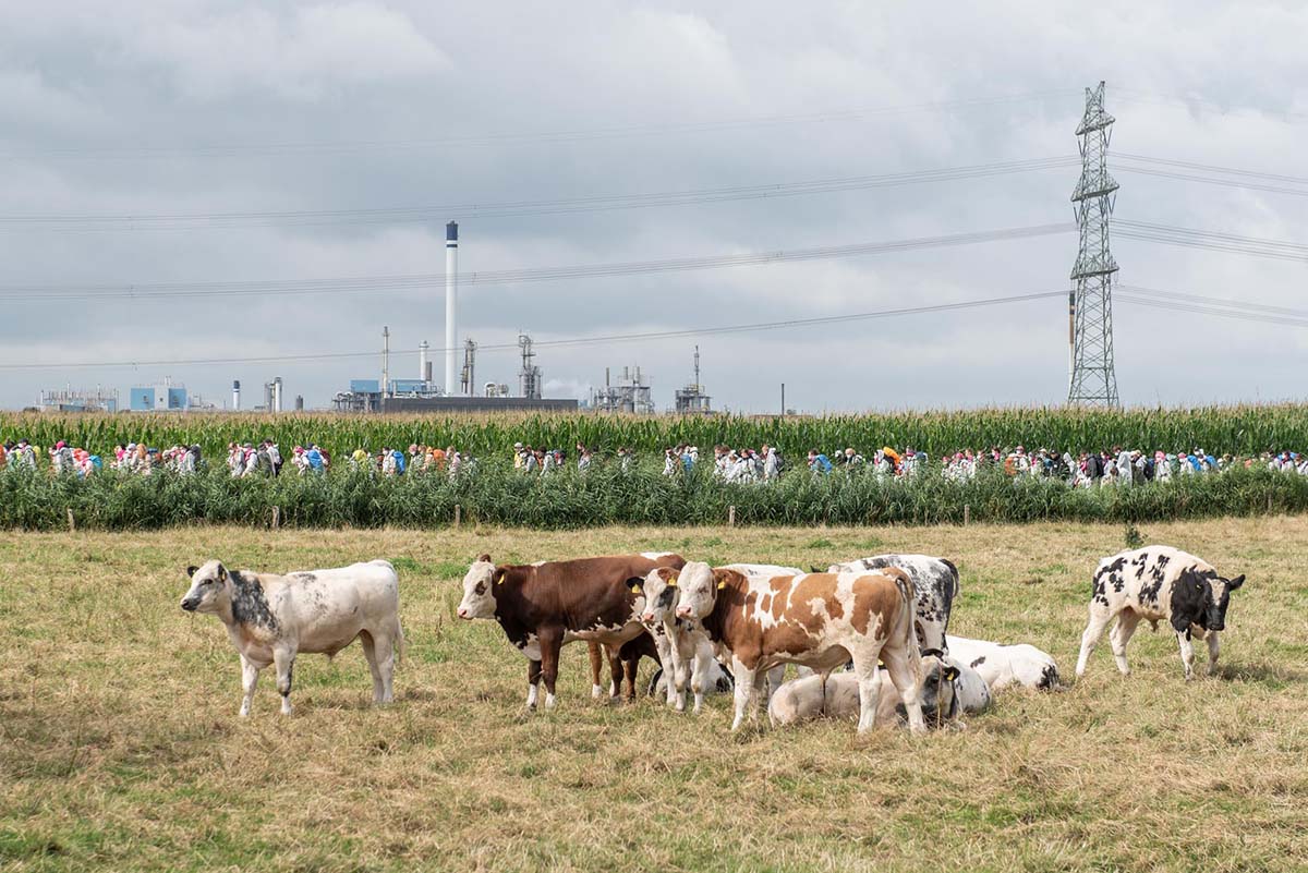 Ende Gelaende Aktion in Brunsbuettel gegen ein geplantes Erdgasterminal: Array