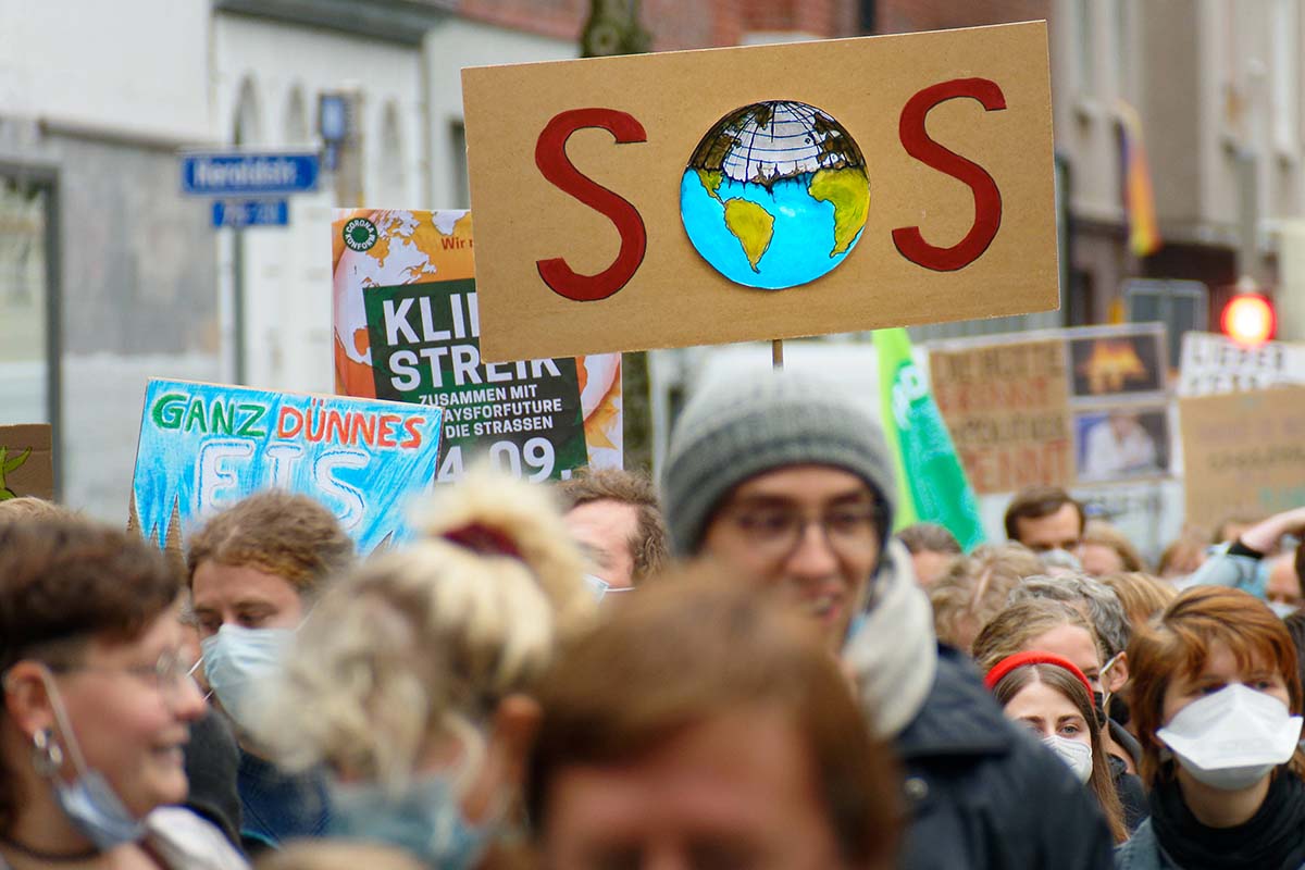 Fridays for Future: Array