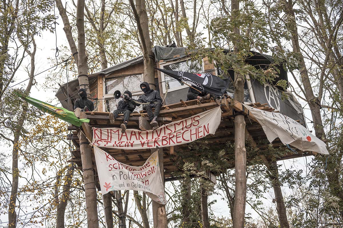 Baumhaus auf dem Hof von Eckardt Heukamp: Array