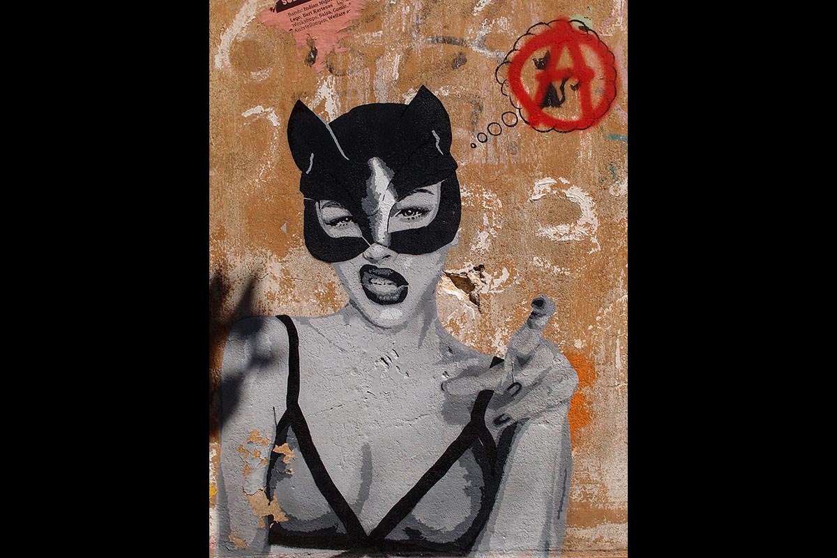 OLYMPUS DIGITAL CAMERA: 