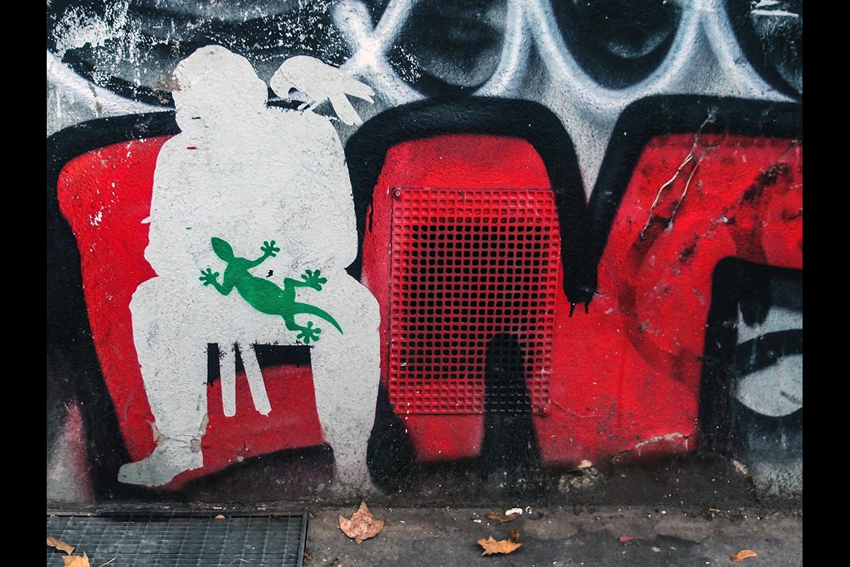 OLYMPUS DIGITAL CAMERA: 