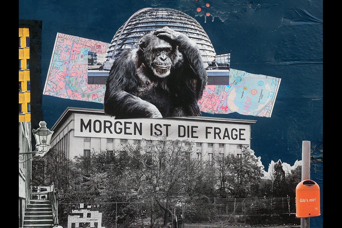 OLYMPUS DIGITAL CAMERA: 