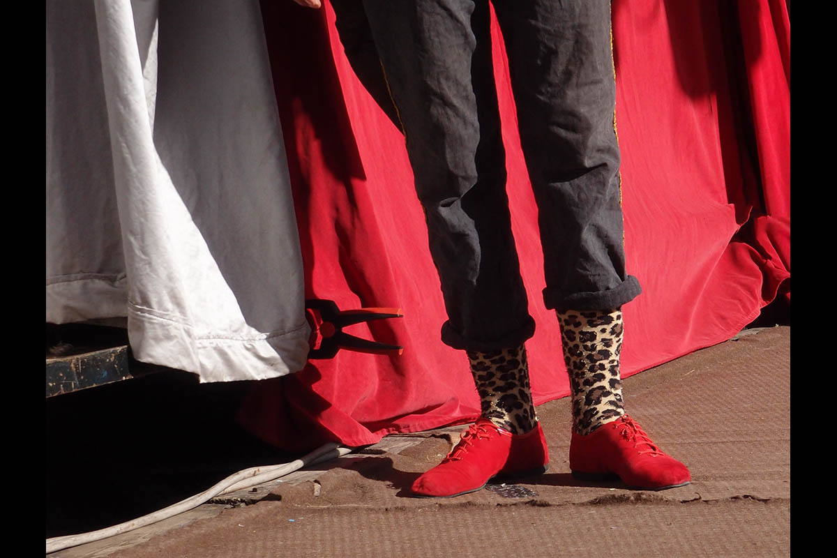 OLYMPUS DIGITAL CAMERA: 