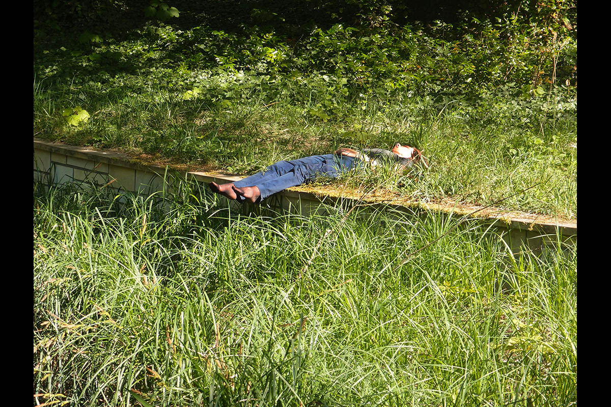 OLYMPUS DIGITAL CAMERA: 