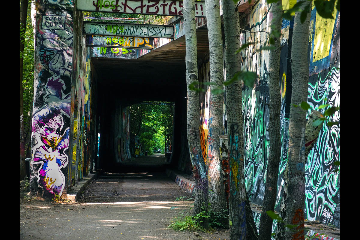 OLYMPUS DIGITAL CAMERA: 