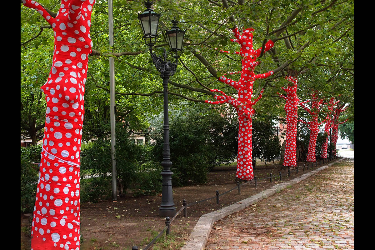 OLYMPUS DIGITAL CAMERA: 