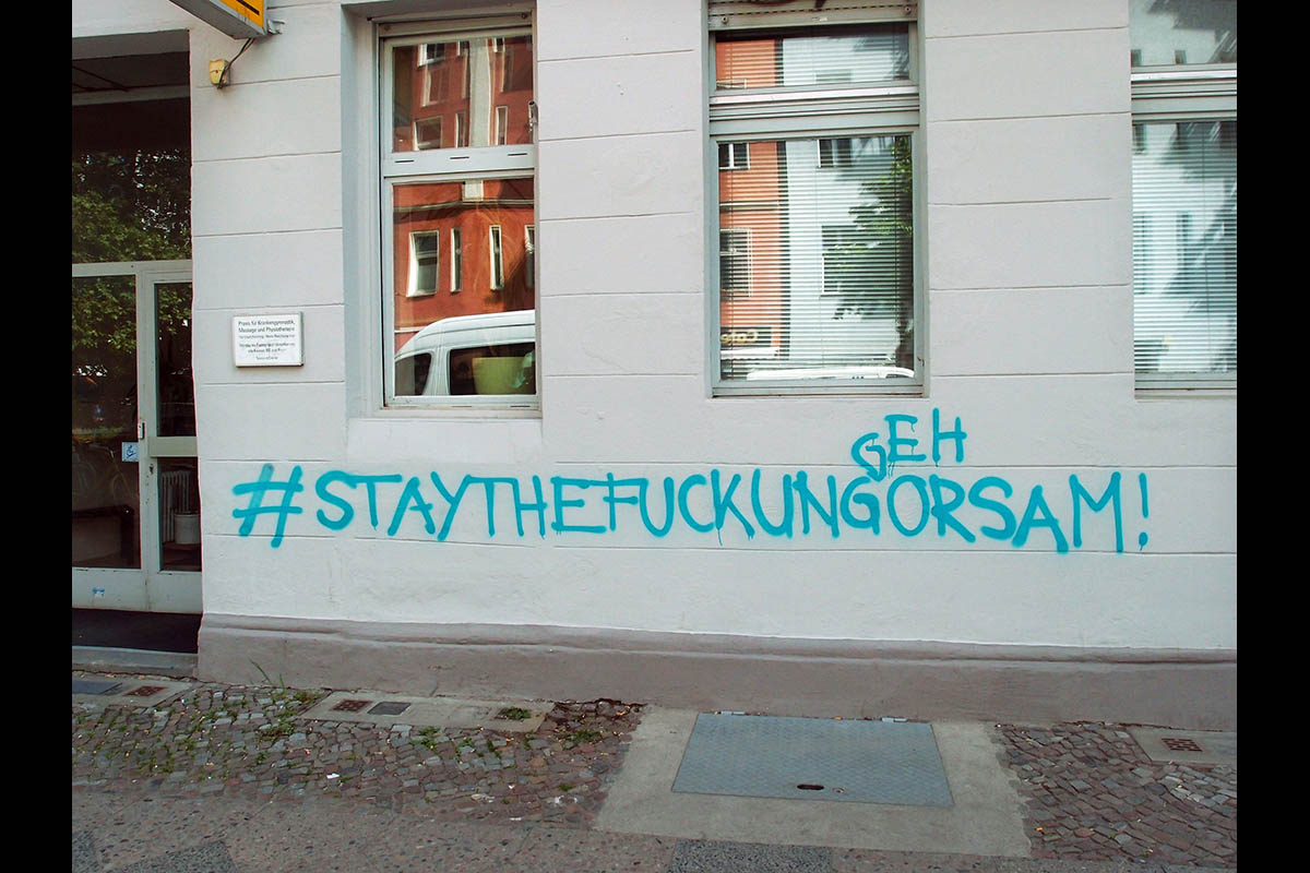 OLYMPUS DIGITAL CAMERA: 