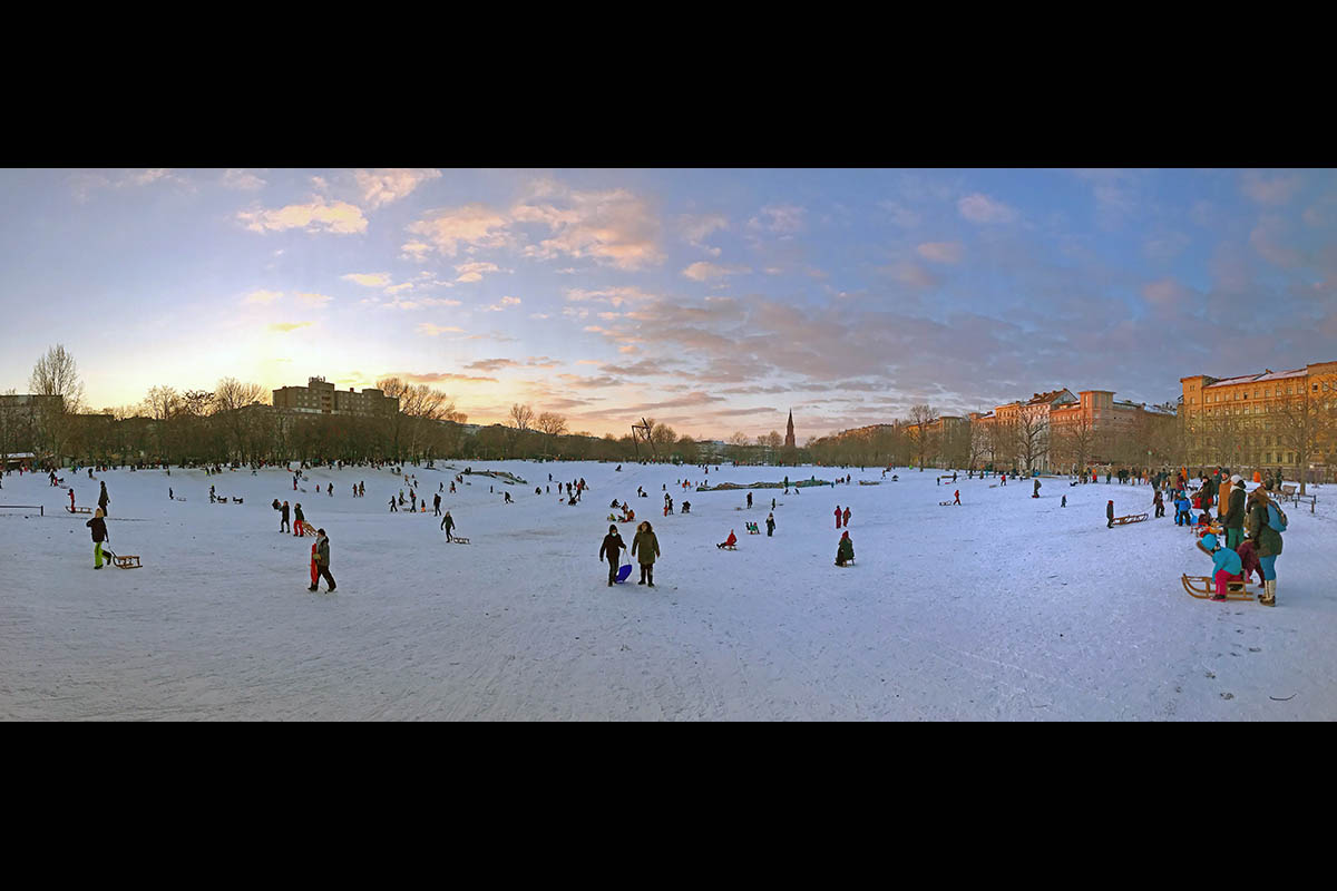 Park: Array