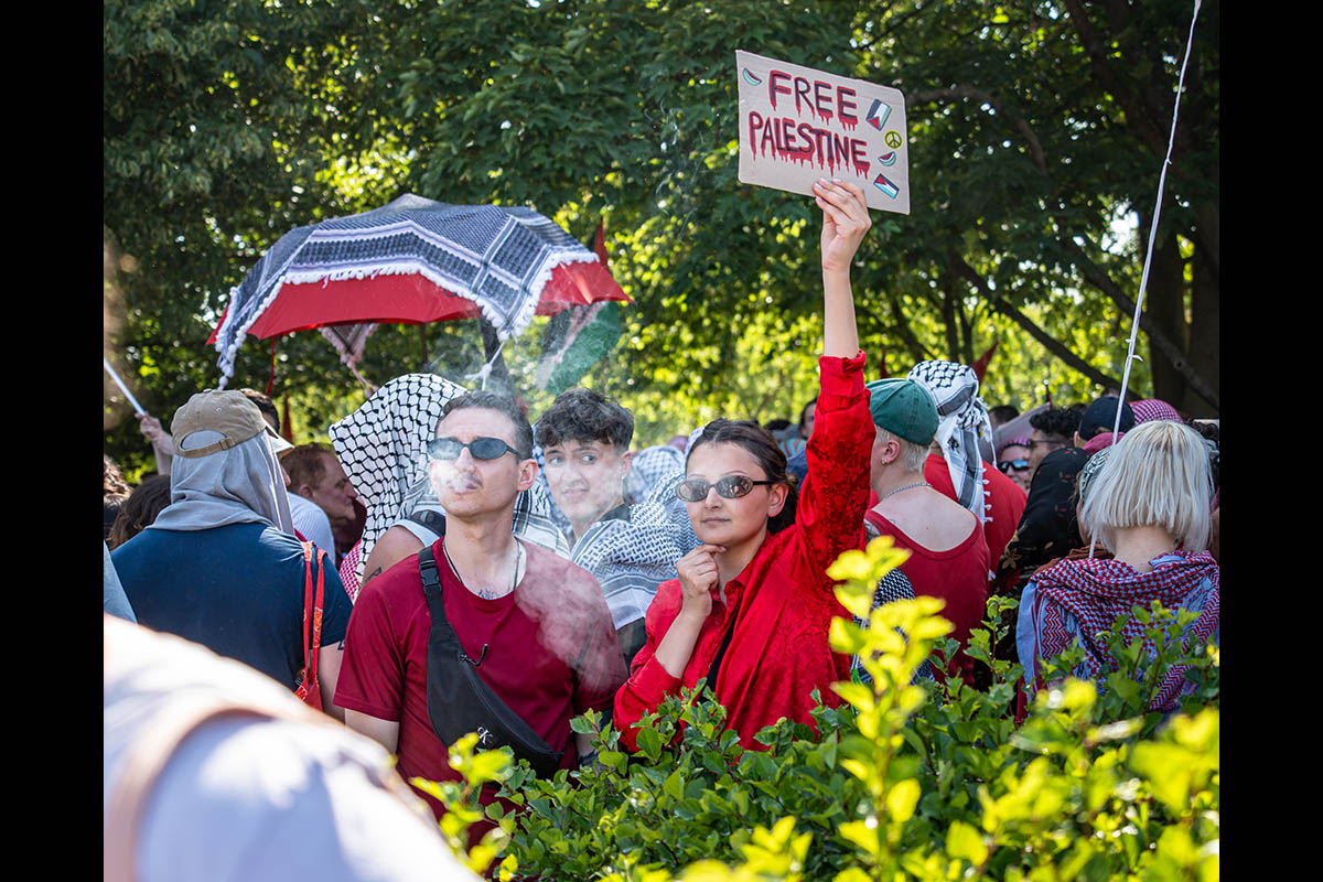 United for Gaza: Array