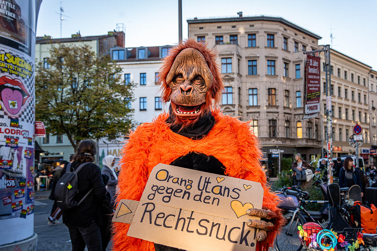 ZSK spielt Gratiskonzert gegen Rechts in Kreuzberg: Array