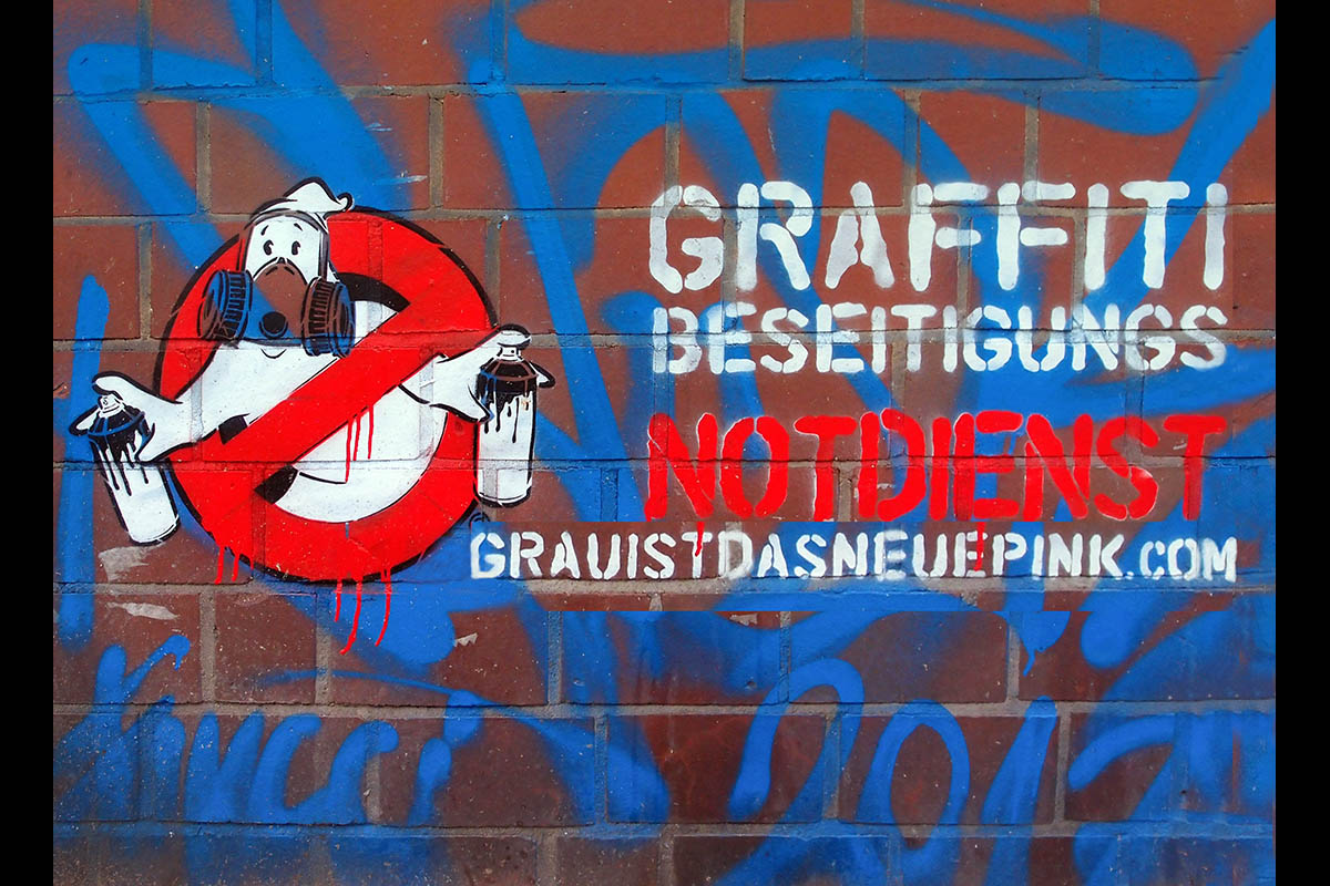 OLYMPUS DIGITAL CAMERA: 