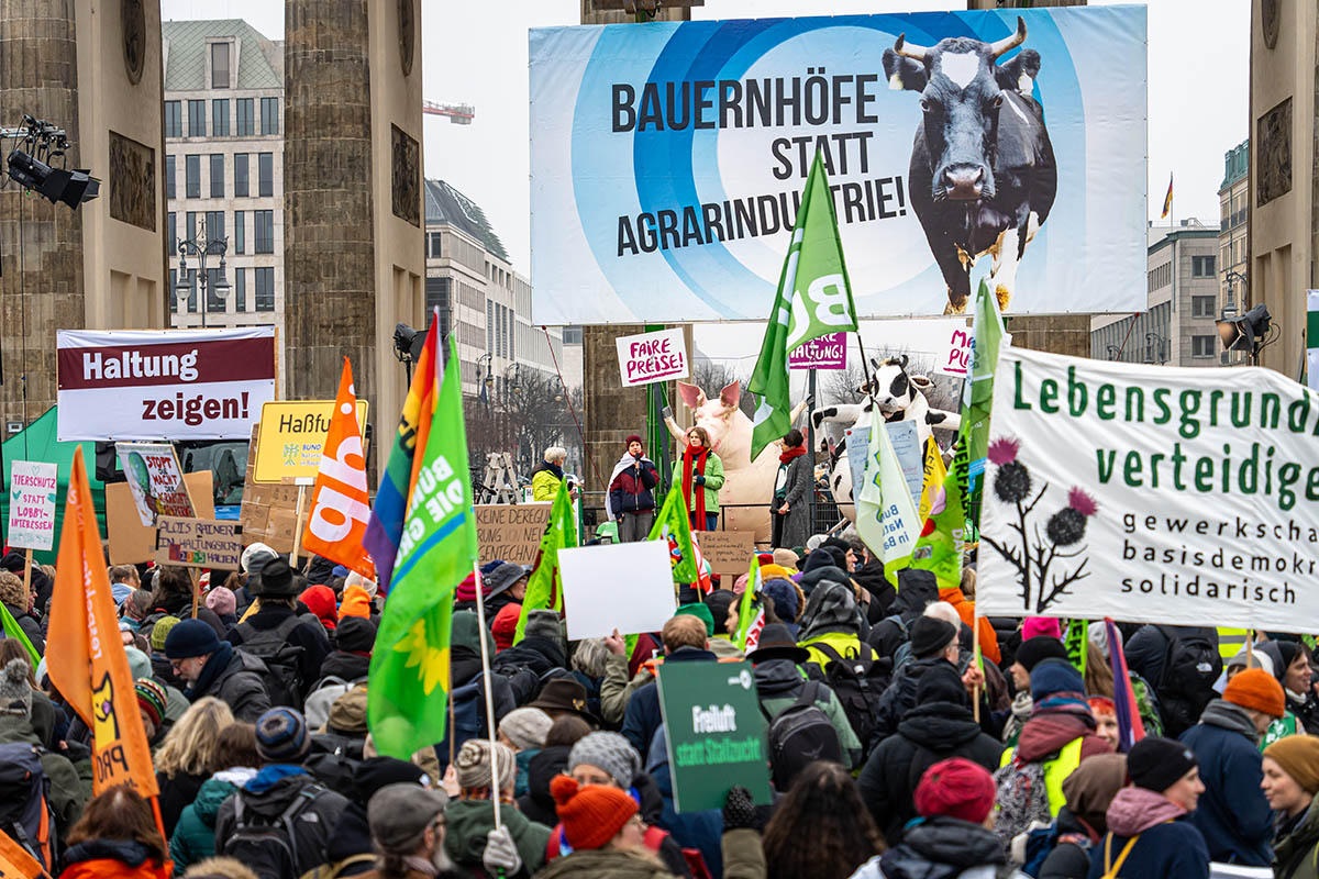 Wir haben es satt Demo 2026: Array