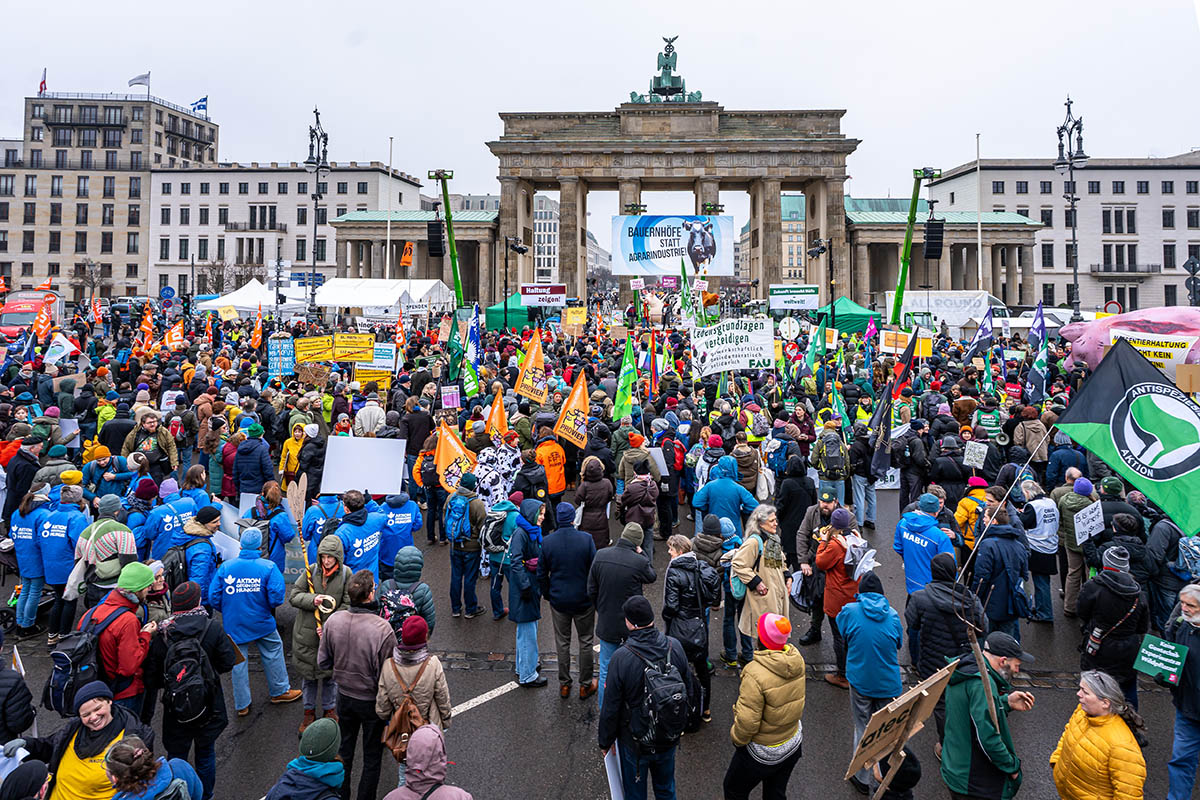 Wir haben es satt Demo 2026: Array