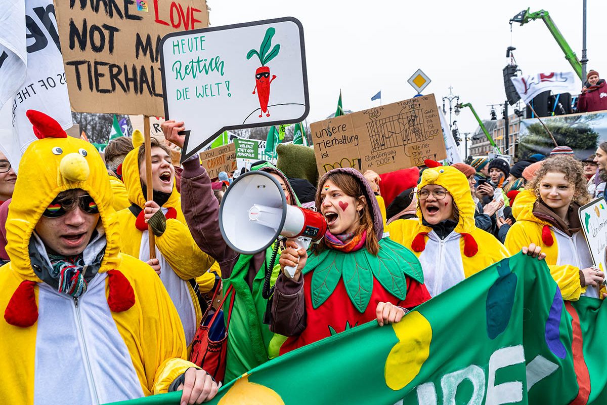 Wir haben es satt Demo 2026: Array