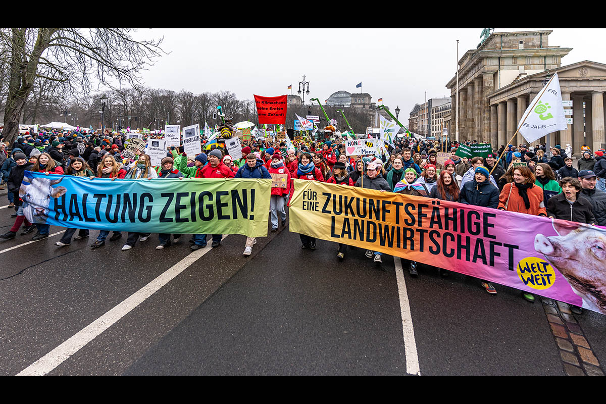 Wir haben es satt Demo 2026: Array