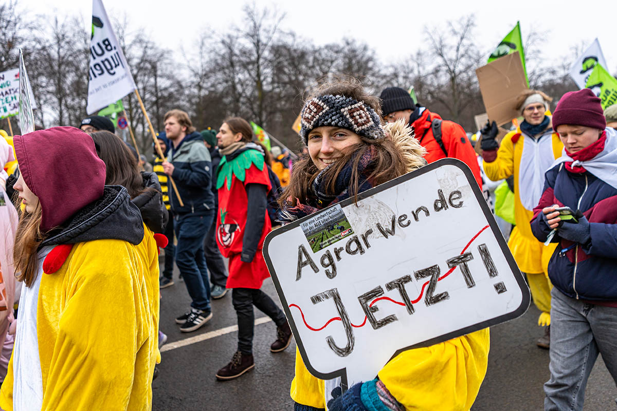 Wir haben es satt Demo 2026: Array