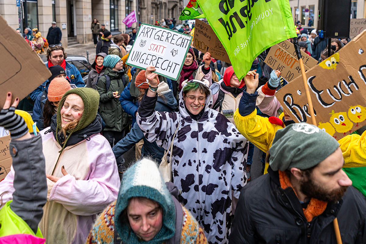 Wir haben es satt Demo 2026: Array