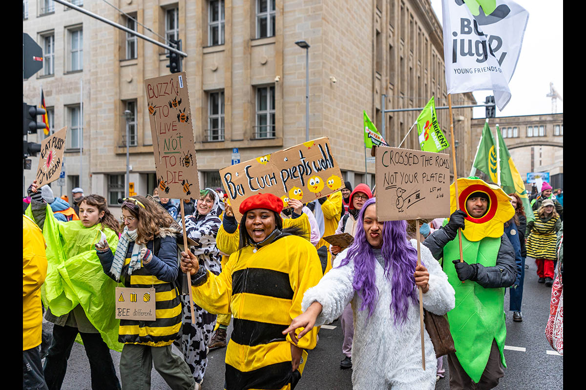 Wir haben es satt Demo 2026: Array