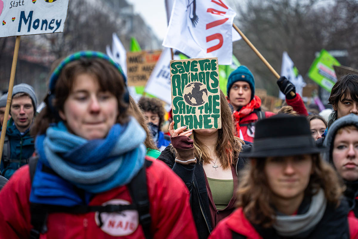 Wir haben es satt Demo 2026: Array