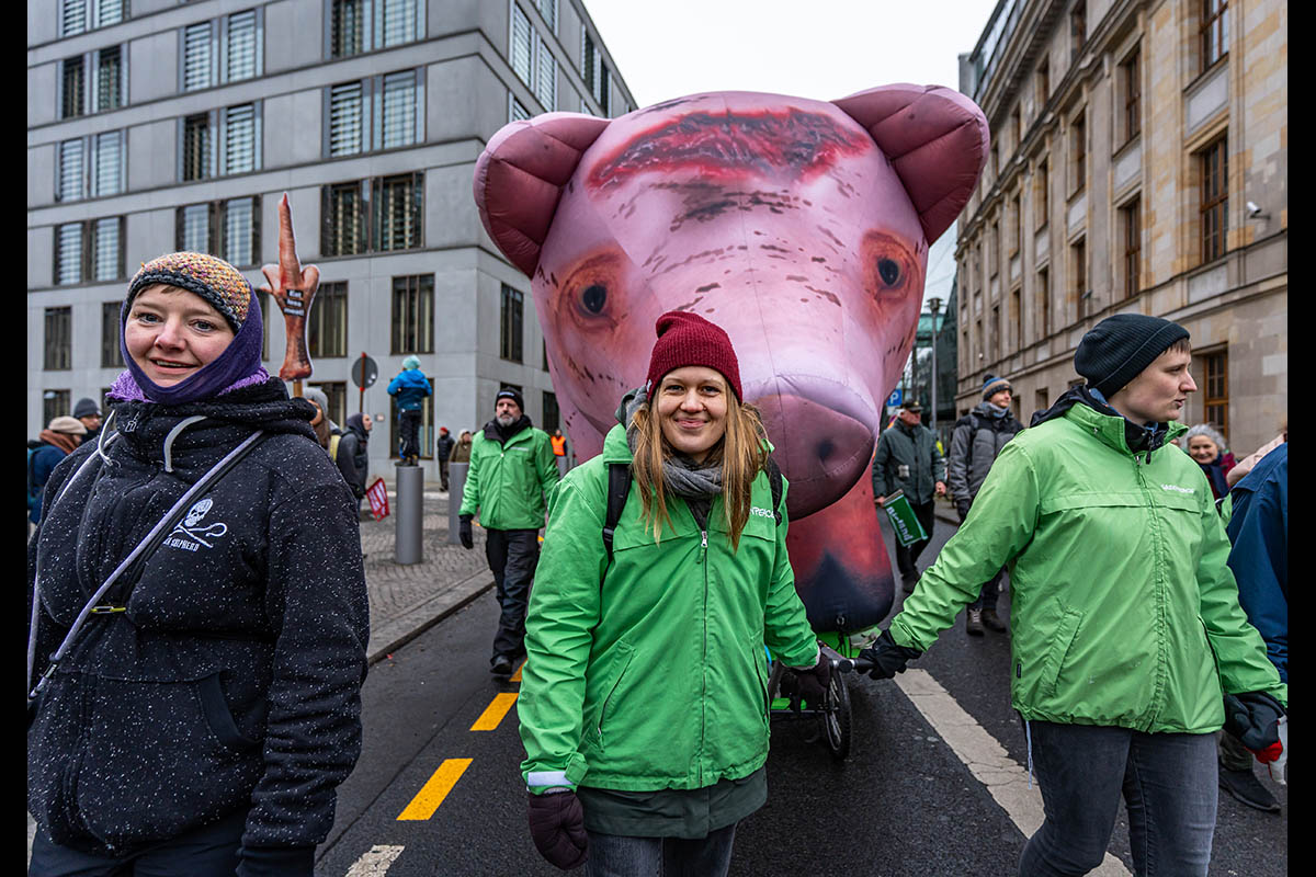 Wir haben es satt Demo 2026: Array