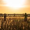 Partielle Sonnenfinsternis in Berlin begeistert Tausende:    Array