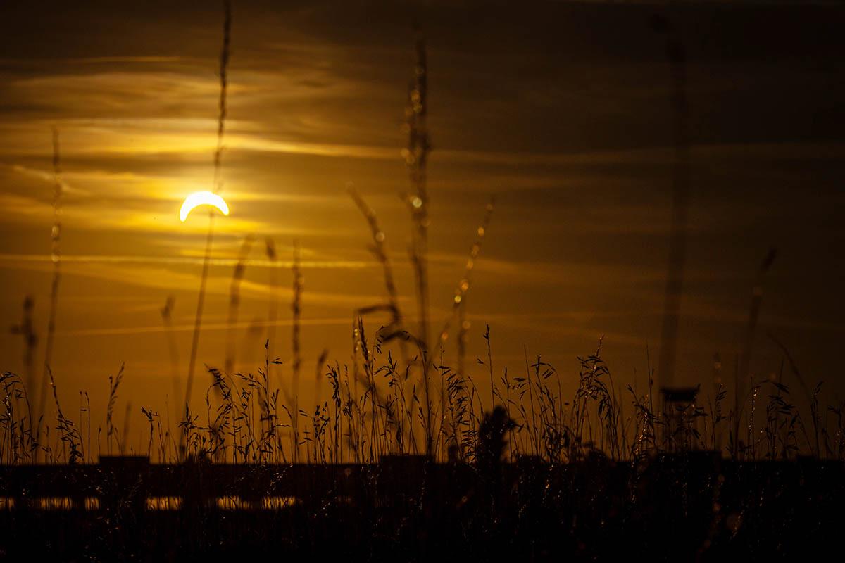 Partielle Sonnenfinsternis in Berlin begeistert Tausende: Array